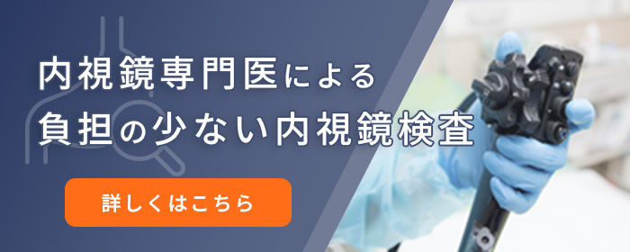 内視鏡検査（胃カメラ）